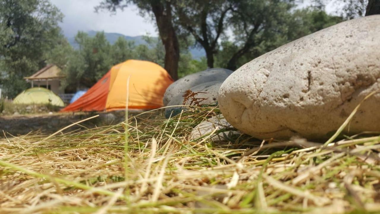 Eco Camping Albania * Dhërmi