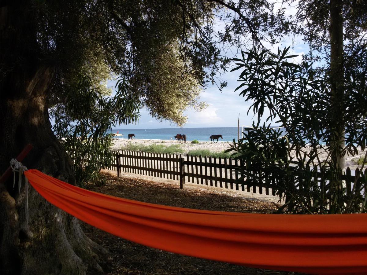 Eco Camping Albania *